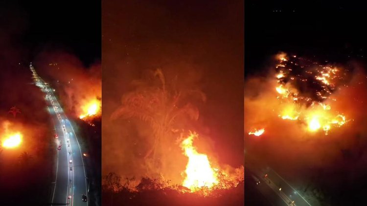 Floresta em Esperantina é atingida por incêndio de grandes proporções.