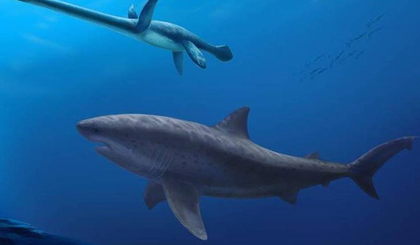 Fóssil de lamniforme de 115 milhões de anos revela origem precoce dos tubarões gigantes (Foto: Reprodução) Fóssil de lamniforme de 115 milhões de anos revela origem precoce dos tubarões gigantes (Foto: Reprodução)