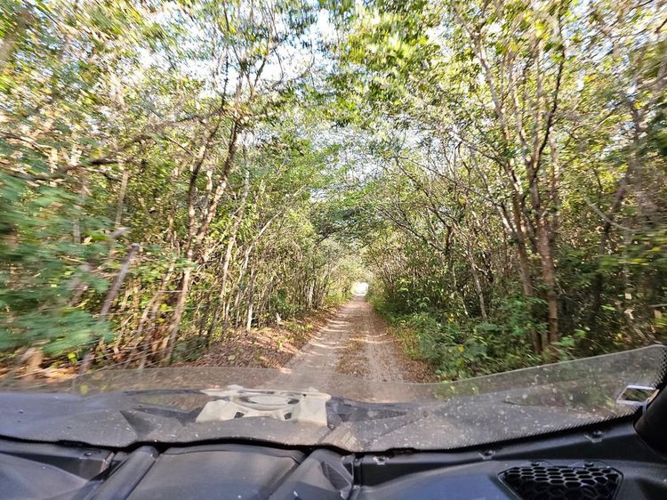 Governo lança iniciativa para impulsionar turismo sustentável no Piauí.