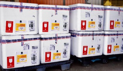 Mais de 11 mil doses de vacina para prevenir bronquiolite chegam ao Piauí. (Foto: Divulgação/MS) Mais de 11 mil doses de vacina para prevenir bronquiolite chegam ao Piauí. (Foto: Divulgação/MS)