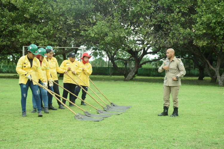 Piauí finaliza 2025 com mais de 2.100 brigadistas; número de mulheres capacitadas cresce.