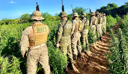 A operação foi realizada em conjunto com a Polícia Militar da Bahia e a Polícia Federal, como parte de um esforço para intensificar o combate ao tráfico de drogas na região de divisa entre Piauí e Bahia. (Foto: Divulgação/SSP)