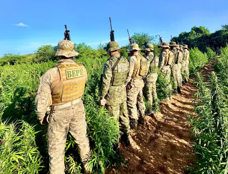 A operação foi realizada em conjunto com a Polícia Militar da Bahia e a Polícia Federal, como parte de um esforço para intensificar o combate ao tráfico de drogas na região de divisa entre Piauí e Bahia.