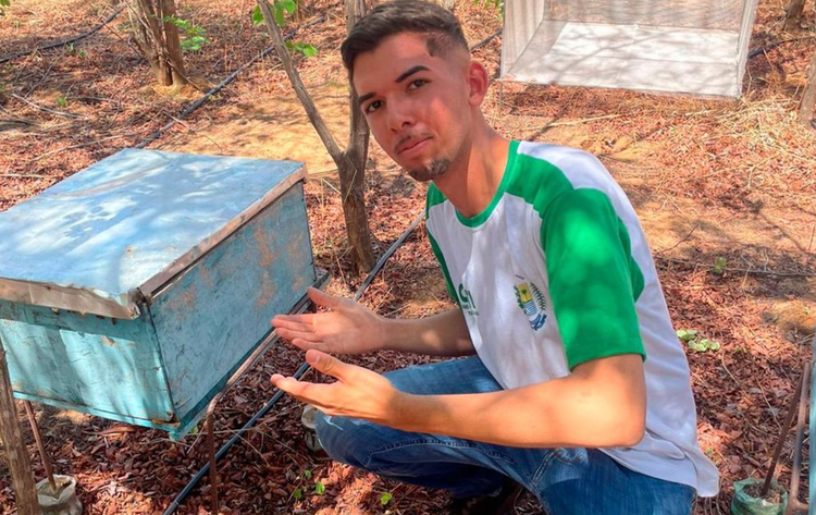 Estudantes criam projeto para fortalecer apicultura e sustentabilidade no Piauí.