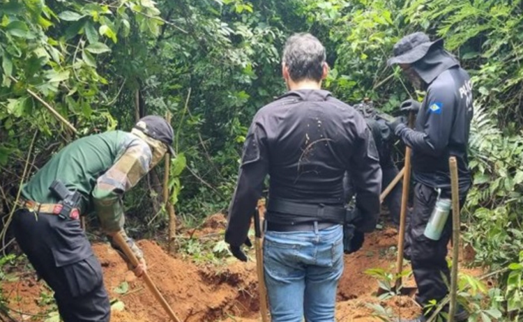 Oito corpos são encontrados em região de mata no Mato Grosso.