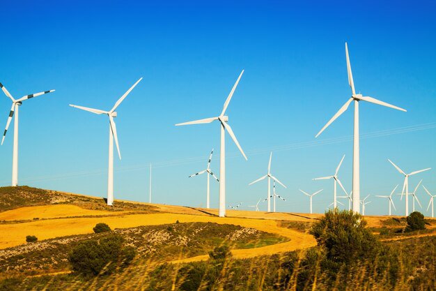 Piauí Adota Política de Incentivo à Energia Eólica Offshore e Economia do Mar