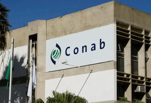 Conab abre concurso público com 403 vagas e salários de até R$ 8 mil