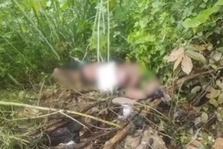 Corpo com queimaduras e marcas de violência é encontrado; IML investigará
