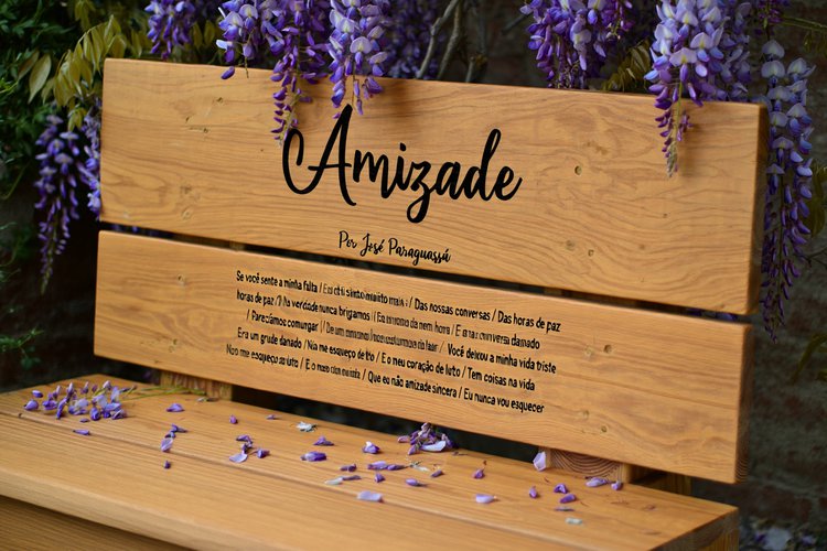 Amizade