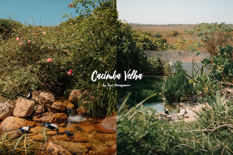 Cacimba velha