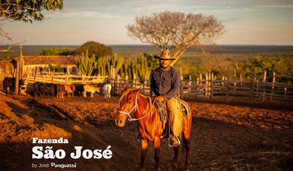 Fazenda São José (Foto: Gerado por IA) Fazenda São José (Foto: Gerado por IA)