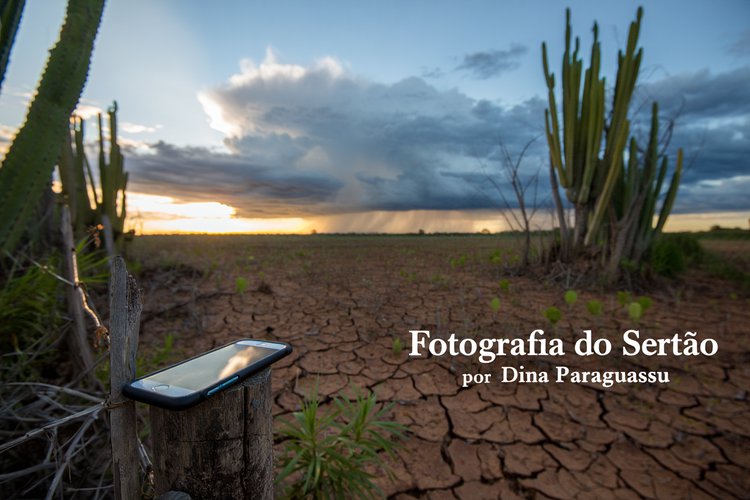 Fotografia do sertão