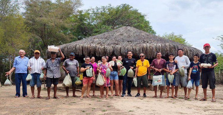 Indígenas do Piauí ampliam produção e garantem segurança alimentar com apoio da SAF