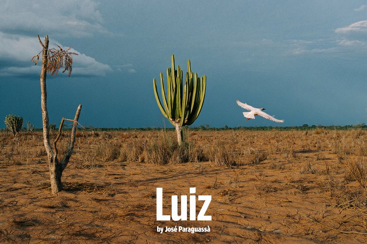 Luiz