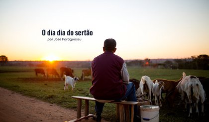 O dia dia do sertão (Foto: Gerado por IA) O dia dia do sertão (Foto: Gerado por IA)