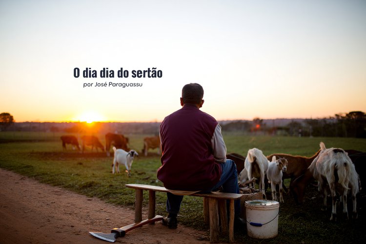 O dia dia do sertão