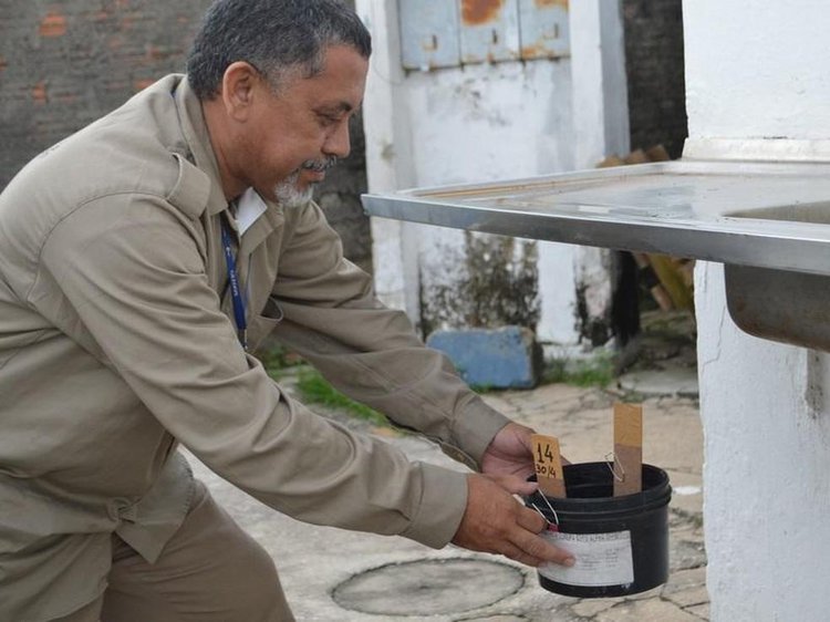 'Ovitrampa': conheça armadilha é adotada para combate ao Aedes aegypti em Teresina.