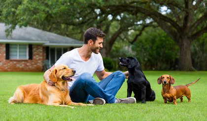 Pesquisa aponta que elo entre pessoas e seus fiéis companheiros peludos é tão ou mais gratificante do que as relações com amigos mais íntimos.. (Foto: Gerado por IA) Pesquisa aponta que elo entre pessoas e seus fiéis companheiros peludos é tão ou mais gratificante do que as relações com amigos mais íntimos.. (Foto: Gerado por IA)