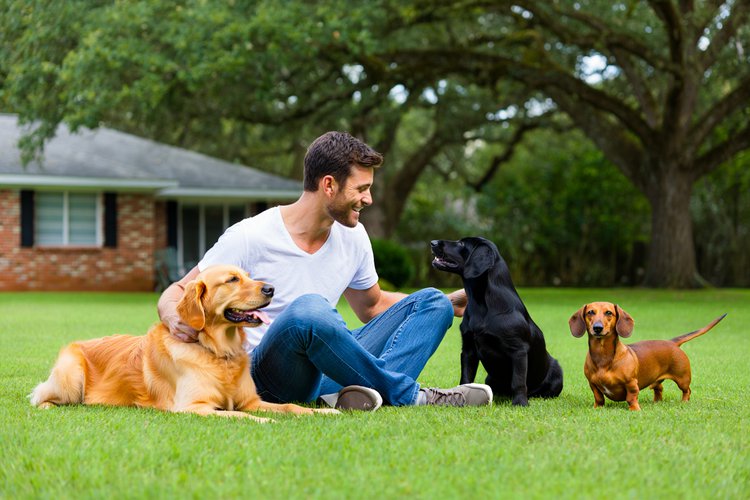 Pesquisa aponta que elo entre pessoas e seus fiéis companheiros peludos é tão ou mais gratificante do que as relações com amigos mais íntimos..