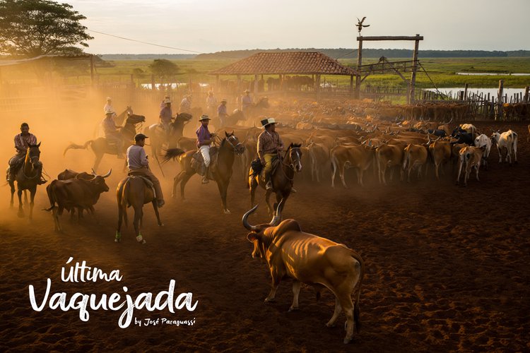 Ultima vaquejada