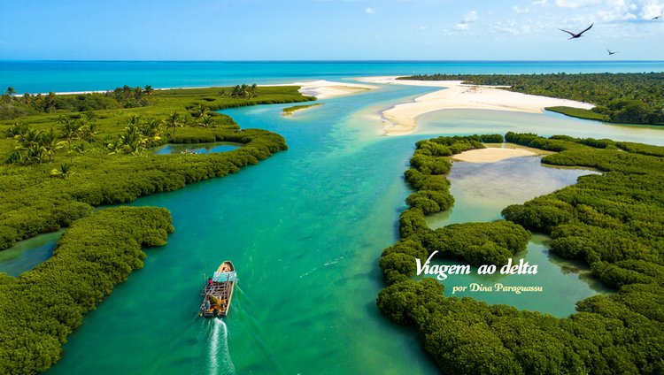 Viagem ao delta