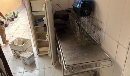 A polícia alerta a população sobre a importância de denunciar casos de maus-tratos e de verificar se os profissionais envolvidos estão devidamente registrados no CRMV. (Foto: Divulgação/SSP-PI) A polícia alerta a população sobre a importância de denunciar casos de maus-tratos e de verificar se os profissionais envolvidos estão devidamente registrados no CRMV. (Foto: Divulgação/SSP-PI)