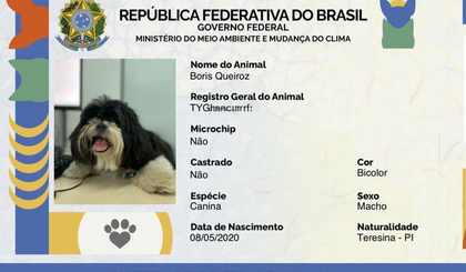 Ação do SINPatinhas oferece RG gratuito para pets em Teresina e interior (Foto: Reprodução) Ação do SINPatinhas oferece RG gratuito para pets em Teresina e interior (Foto: Reprodução)
