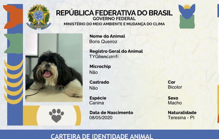 Ação do SINPatinhas oferece RG gratuito para pets em Teresina e interior