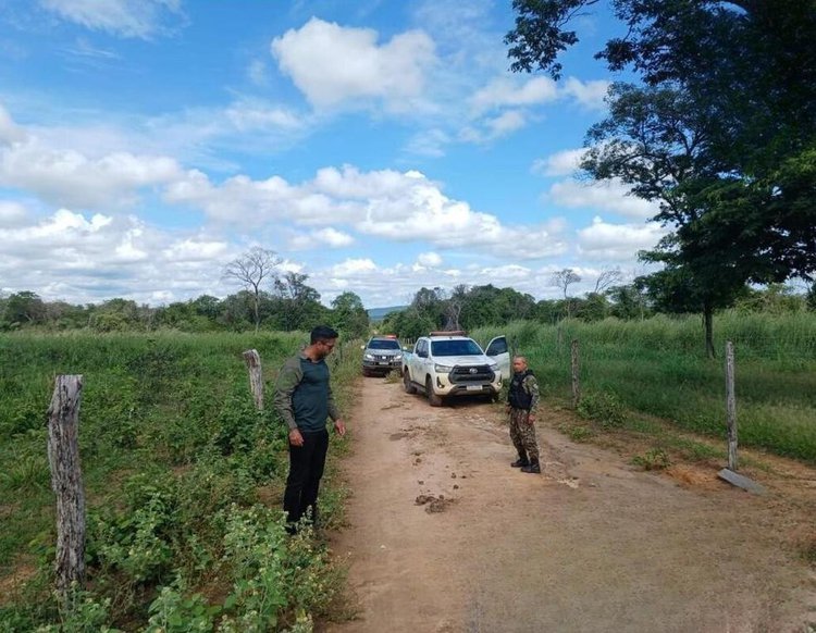 Cerca de R$ 550 mil em multas são aplicados em operação de combate ao desmatamento ilegal no PI; estado tem mais 540 hectares embargados