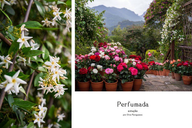 Perfumada estação