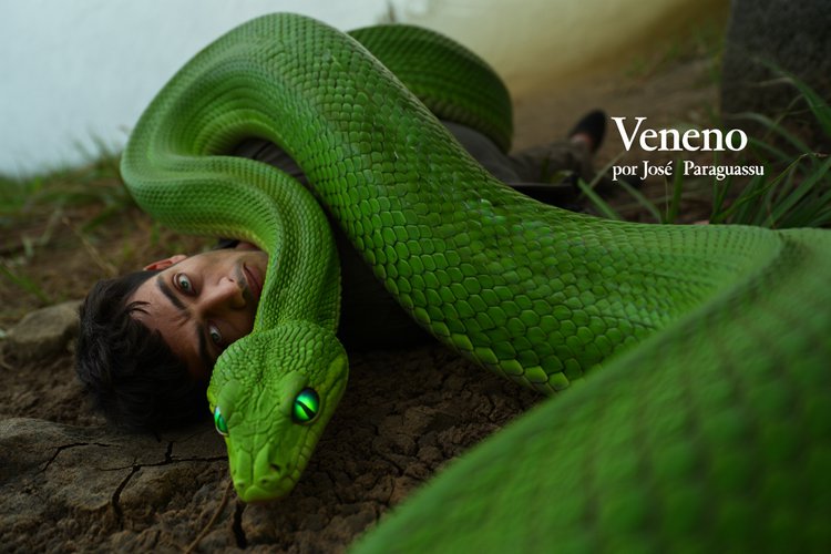 Veneno