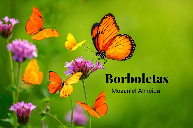 Borboletas