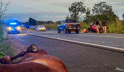 Carro bate em três cavalos e deixa casal em estado grave na BR-343 (Foto: Divulgação/SSP-PI) Carro bate em três cavalos e deixa casal em estado grave na BR-343 (Foto: Divulgação/SSP-PI)