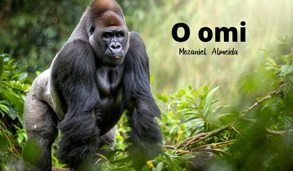 O omi (Foto: criação IA)