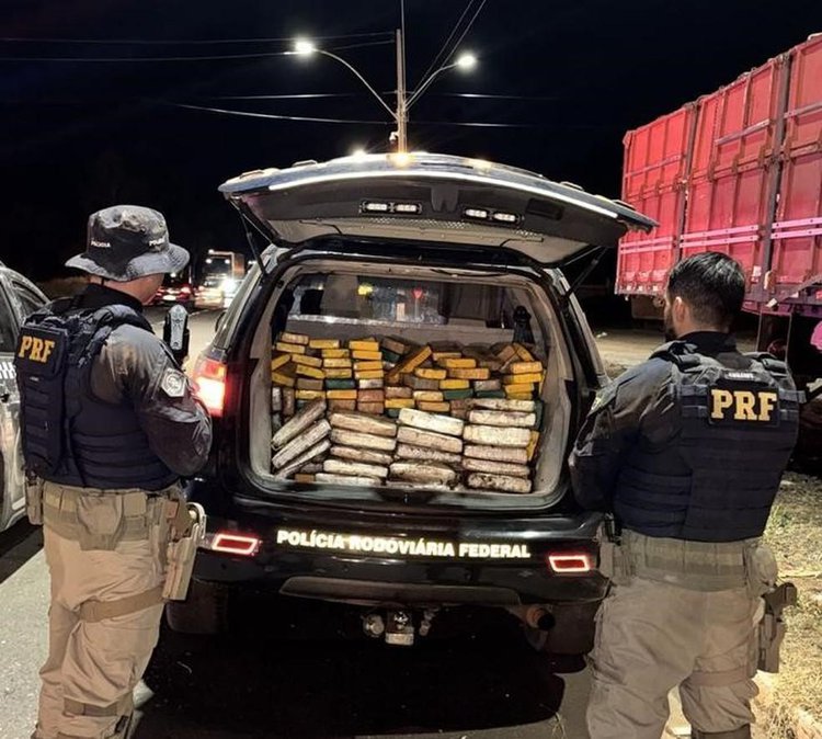 Polícia apreende mais de 200 kg de drogas em caminhão na BR-316, em Picos