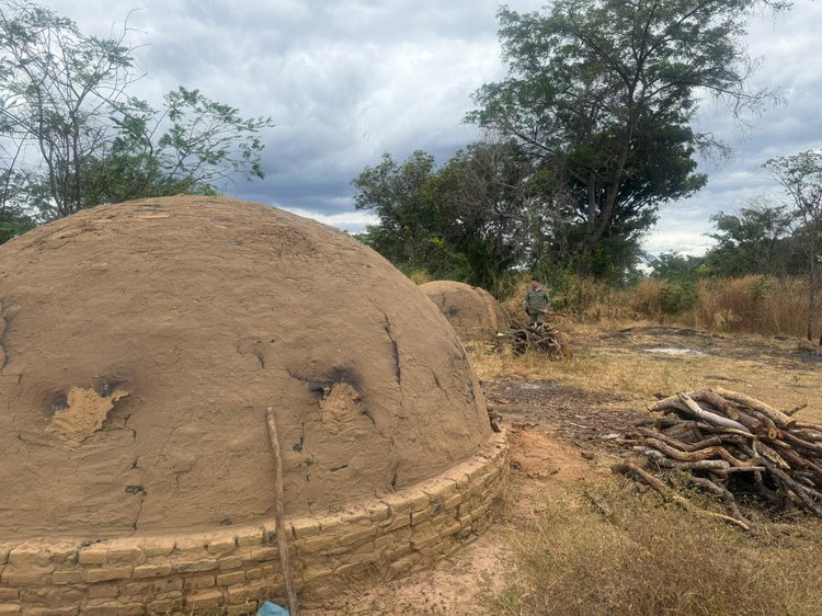 Semarh promove maior operação da década no combate a fornos ilegais de carvão no Piauí.