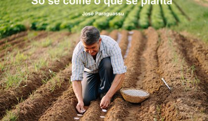 Só se colhe o que se planta (Foto: Gerado por IA)