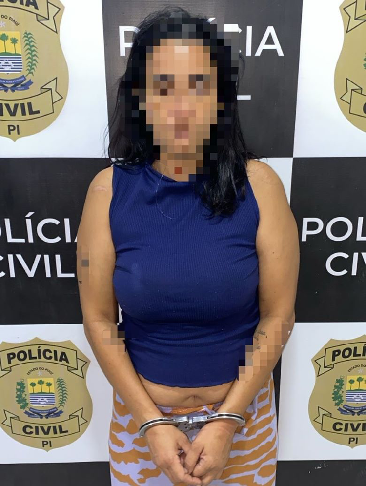 Suspeita de furto com arrombamento é presa no Centro de Teresina