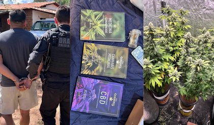 Suspeito de manter estufa de maconha em casa é preso com livros sobre planta, armas e munições no PI (Foto: Divulgação/Polícia Civil) Suspeito de manter estufa de maconha em casa é preso com livros sobre planta, armas e munições no PI (Foto: Divulgação/Polícia Civil)