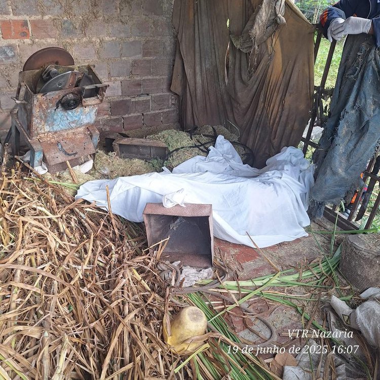 Trabalhador morre após ser atingido na cabeça por peça de triturador.