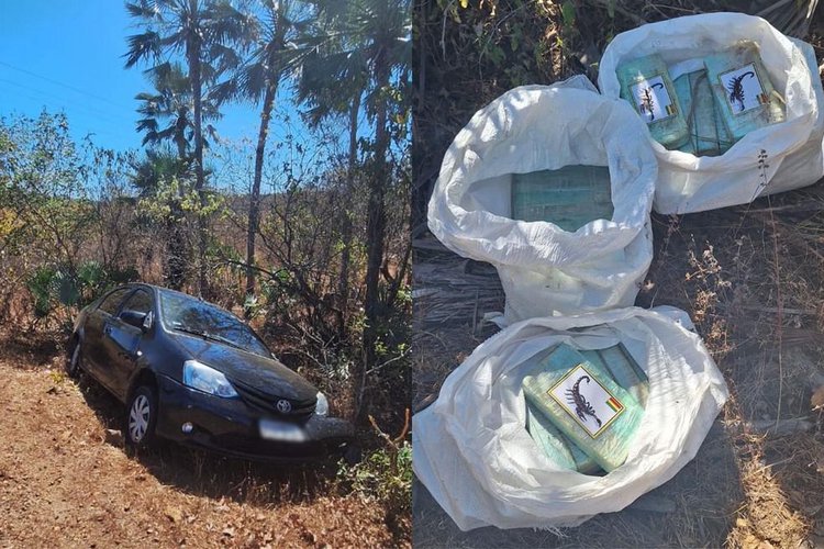 Após acidente, polícia encontra 70 kg de cocaína perto de carro no Piauí; suspeito foi preso