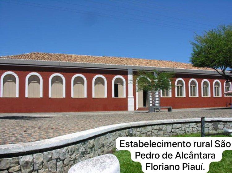 Estabelecimento Rural São Pedro de Alcantara. Floriano - Piauí