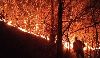 Fogo já destruiu 50 km² em Currais e Bom Jesus; calor e vento dificultam combate (Foto: Ascom) Fogo já destruiu 50 km² em Currais e Bom Jesus; calor e vento dificultam combate (Foto: Ascom)