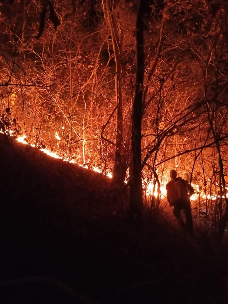 Fogo já destruiu 50 km² em Currais e Bom Jesus; calor e vento dificultam combate