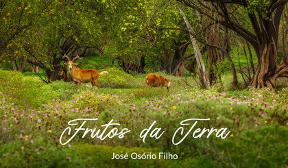 Frutos da Terra (Foto: Gerado por IA) Frutos da Terra (Foto: Gerado por IA)