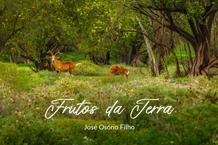 Frutos da Terra