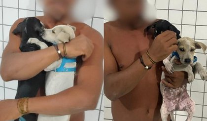 Homem é conduzido à Central de Flagrantes após afogar dois filhotes de cachorro (Foto: Divulgação/Polícia Militar do Piauí)