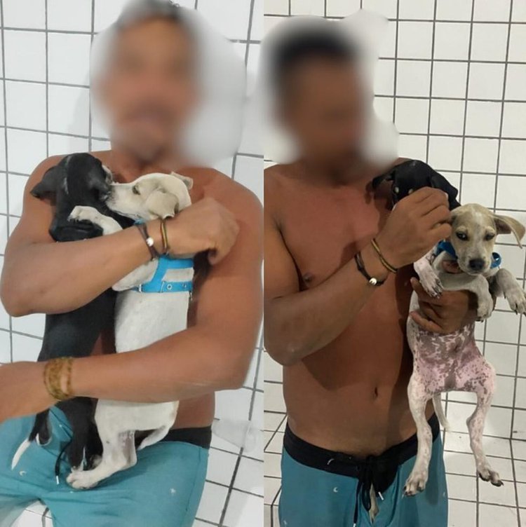 Homem é conduzido à Central de Flagrantes após afogar dois filhotes de cachorro