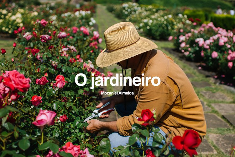 O jardineiro