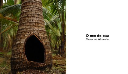 O oco do pau (Foto: criação IA)